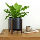 Green potted plant on a wooden stand with a mug and book on a table