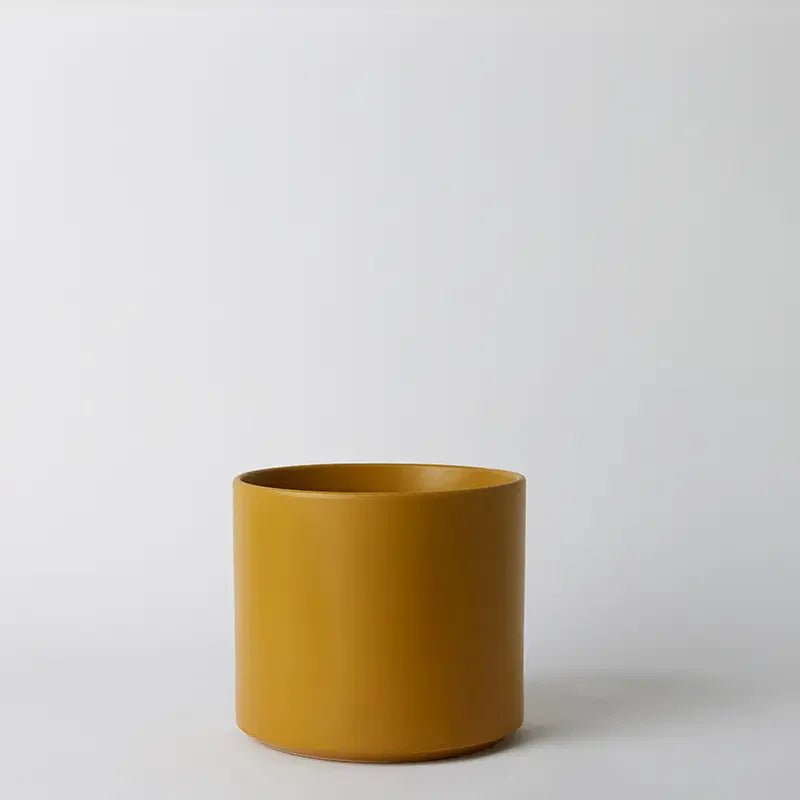 Ceramic Cylinder Planter By Solid Goods With Optional Mahogany Stand - Ed's Plant Shop
