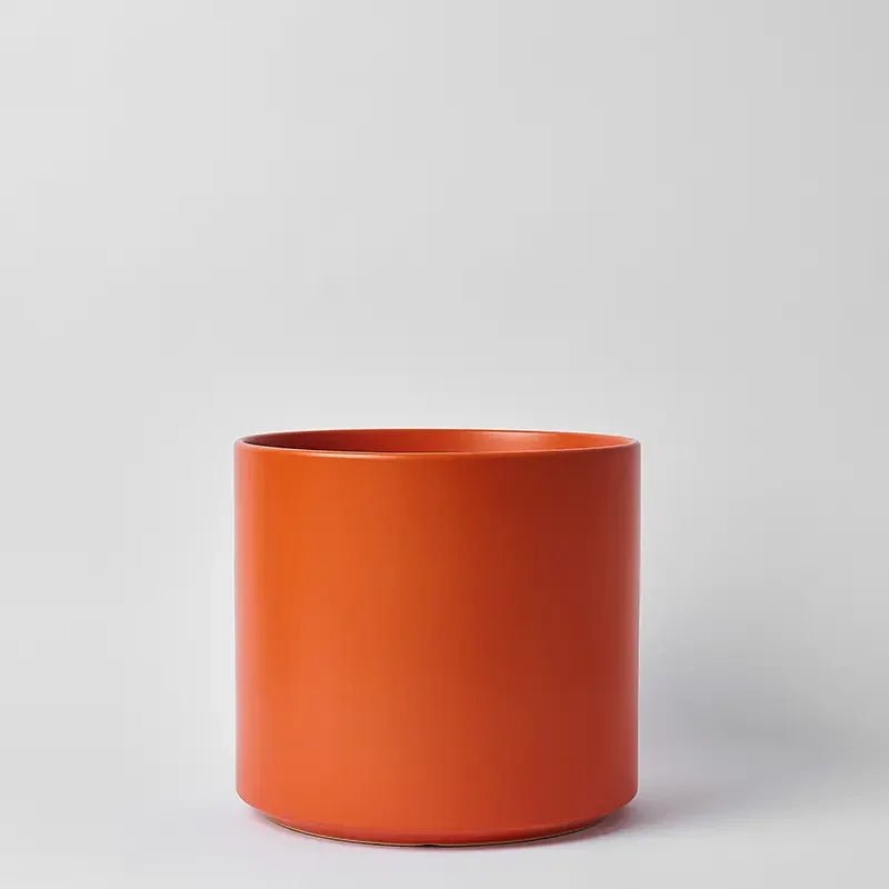 Ceramic Cylinder Planter By Solid Goods With Optional Mahogany Stand - Ed's Plant Shop