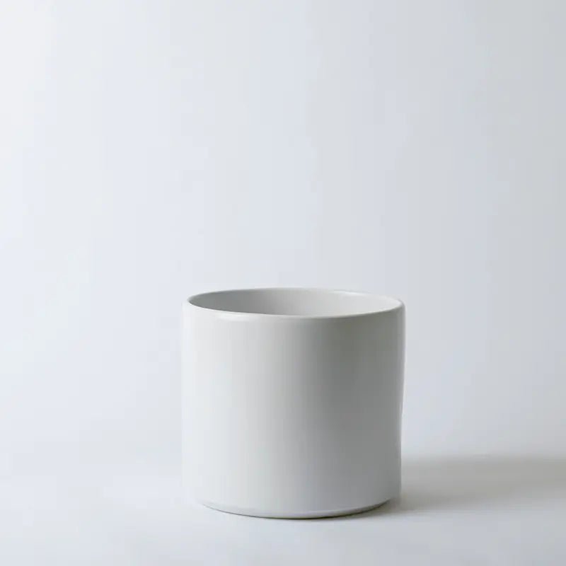 Ceramic Cylinder Planter By Solid Goods With Optional Mahogany Stand - Ed's Plant Shop