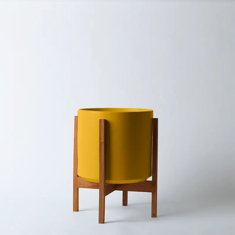 Ceramic Cylinder Planter By Solid Goods With Optional Mahogany Stand - Ed's Plant Shop