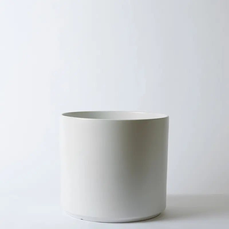 White ceramic planter on a light gray background