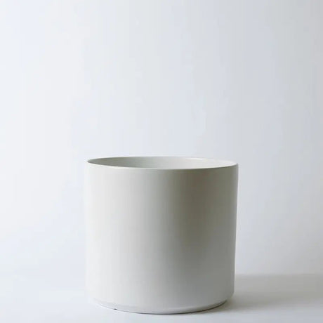 White ceramic planter on a light gray background