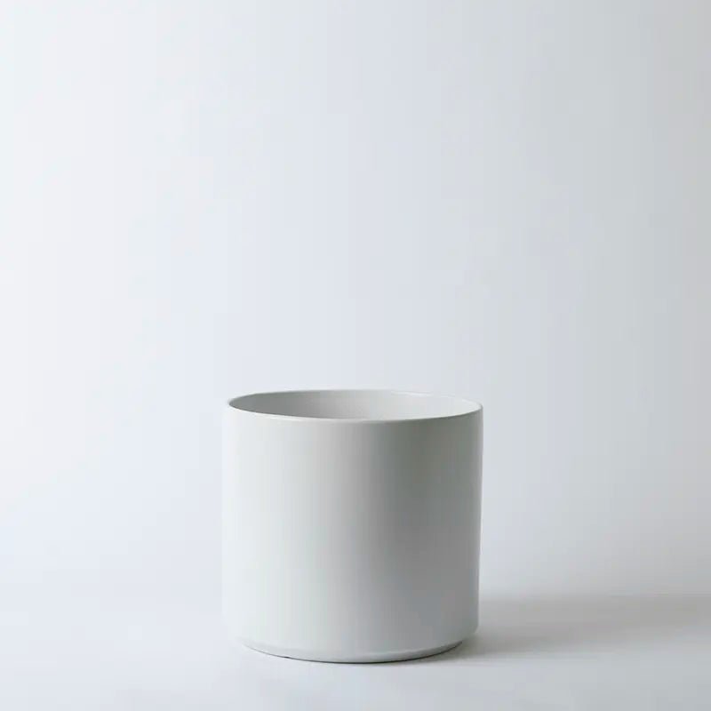 Ceramic Cylinder Planter By Solid Goods With Optional Mahogany Stand - Ed's Plant Shop