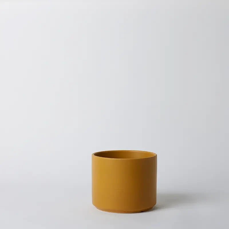 Ceramic Cylinder Planter By Solid Goods With Optional Mahogany Stand - Ed's Plant Shop