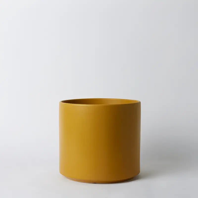 Ceramic Cylinder Planter By Solid Goods With Optional Mahogany Stand - Ed's Plant Shop