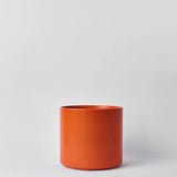 Ceramic Cylinder Planter By Solid Goods With Optional Mahogany Stand - Ed's Plant Shop