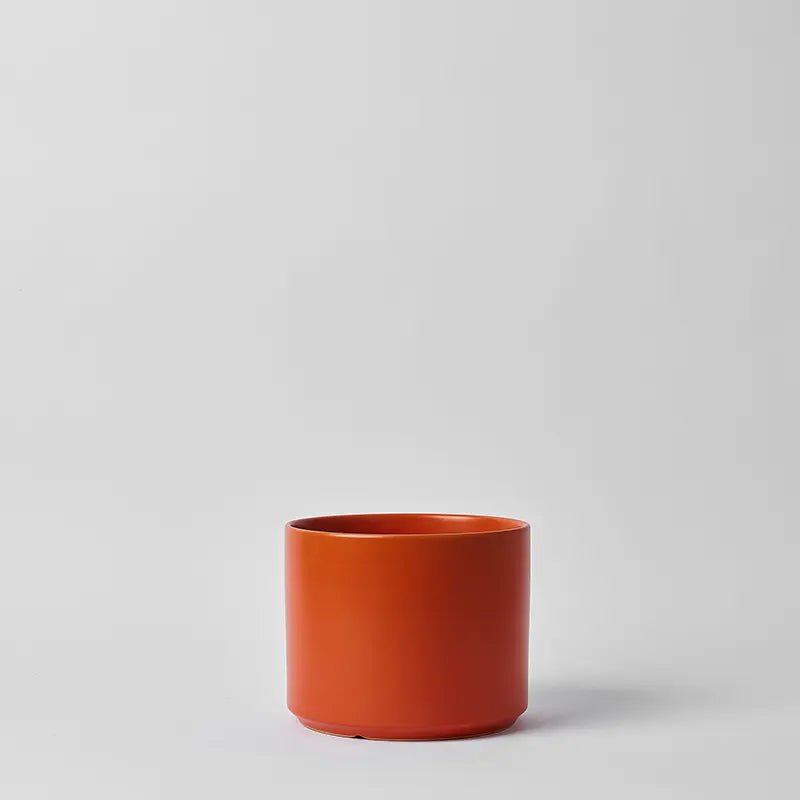 Ceramic Cylinder Planter By Solid Goods With Optional Mahogany Stand - Ed's Plant Shop