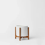 Ceramic Cylinder Planter with Optional Hardwood Stand - Ed's Plant Shop