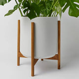Ceramic Cylinder Planter with Optional Hardwood Stand - Ed's Plant Shop