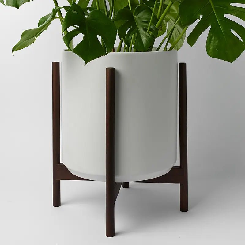 Ceramic Cylinder Planter with Optional Hardwood Stand - Ed's Plant Shop