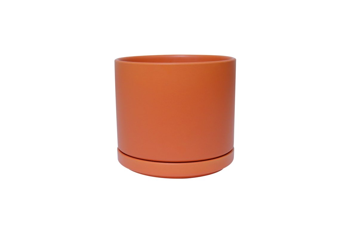 Ceramic Cylinder Planters with Saucer – Modern Indoor & Outdoor Pots in Multiple Sizes - Ed's Plant Shop