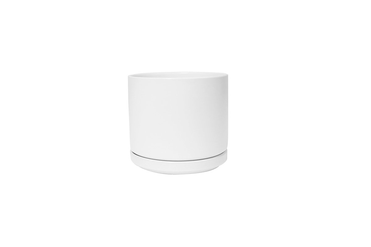 Ceramic Cylinder Planters with Saucer – Modern Indoor & Outdoor Pots in Multiple Sizes - Ed's Plant Shop