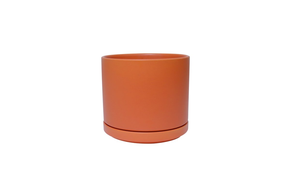 Ceramic Cylinder Planters with Saucer – Modern Indoor & Outdoor Pots in Multiple Sizes - Ed's Plant Shop