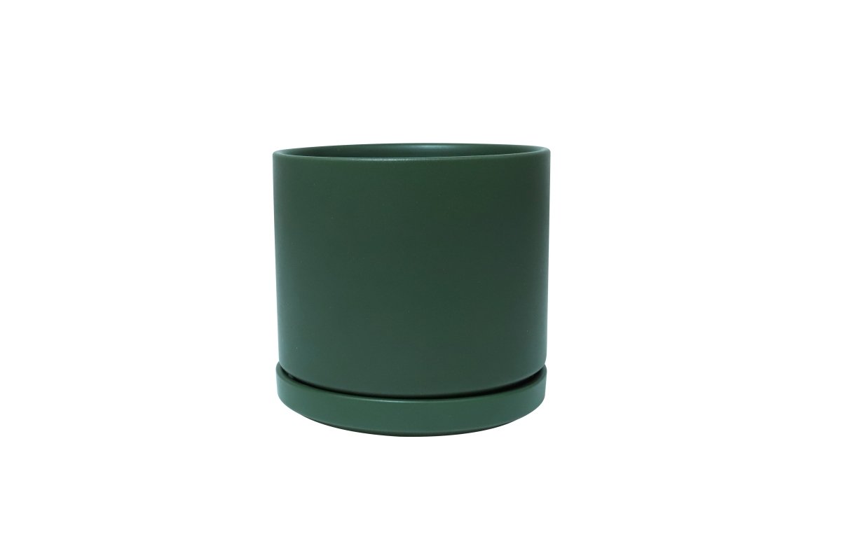 Ceramic Cylinder Planters with Saucer – Modern Indoor & Outdoor Pots in Multiple Sizes - Ed's Plant Shop