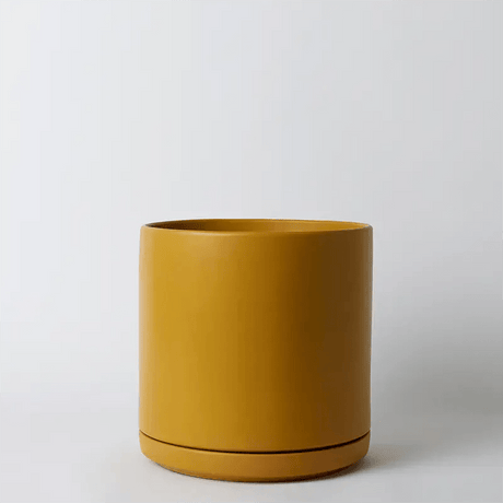 Ceramic Cylinder Planters with Saucer – Modern Indoor & Outdoor Pots in Multiple Sizes - Ed's Plant Shop