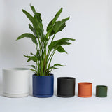 Ceramic Cylinder Planters with Saucer – Modern Indoor & Outdoor Pots in Multiple Sizes - Ed's Plant Shop