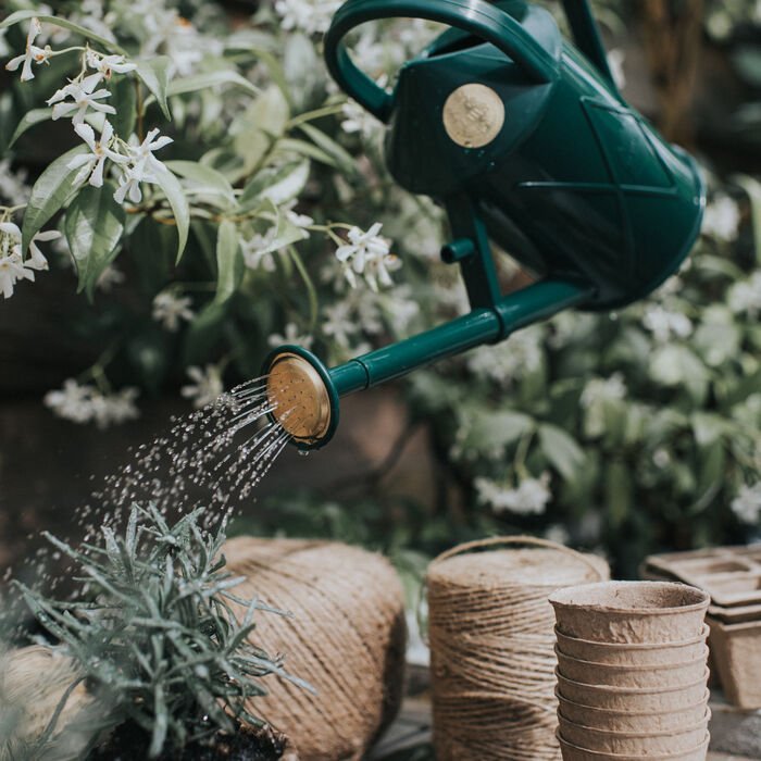 Classic Small Haws Bartley Burbler: Timeless Watering Can for Indoor Gardens - Ed's Plant Shop