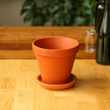 Classic Terracotta Planter Pot with Matching Water Saucer - Ed's Plant Shop