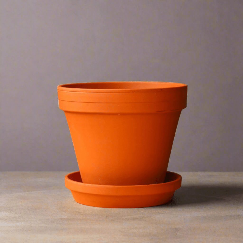 terracotta plant pots online Classic Terra Cotta Planter with Matching Saucer – Ed's Plant Shop
