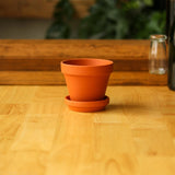 Classic Terracotta Planter Pot with Matching Water Saucer - Ed's Plant Shop