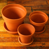 Classic Terracotta Planter Pot with Matching Water Saucer - Ed's Plant Shop