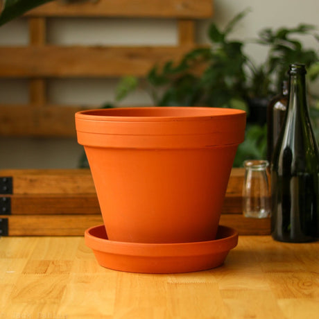 Classic Terracotta Planter Pot with Matching Water Saucer - Ed's Plant Shop