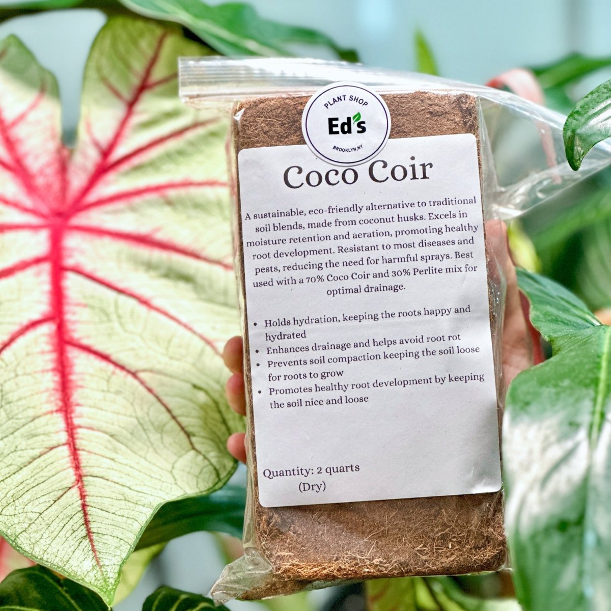 Coco Coir Brick for Plants - 100% Organic Peat Moss Mix Lightweight Substrate - Ed's Plant Shop