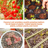 Coco Coir Brick for Plants - 100% Organic Peat Moss Mix Lightweight Substrate - Ed's Plant Shop