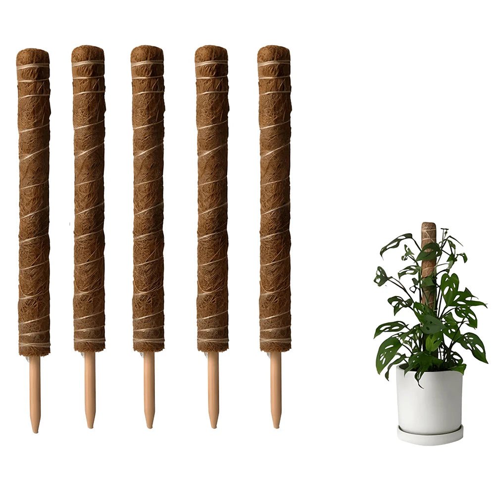 Coco Coir Plant Support Pole - Biodegradable Climbing Plant Stake (Small) - Ed's Plant Shop