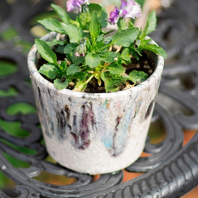 Colorful Terracotta Pot - Various Colors - Ed's Plant Shop