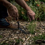 Dandelion Weeding Fork - Ed's Plant Shop