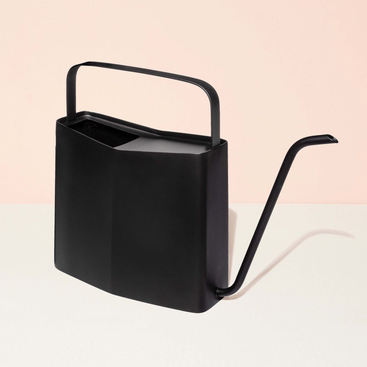 decorative watering can for indoor plants Matte Black Watering Can
