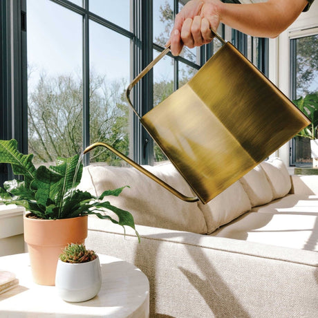 Deco Modern Watering Can 3 Liter (Online Only) | Handcrafted Stainless Steel Watering Can - Ed's Plant Shop