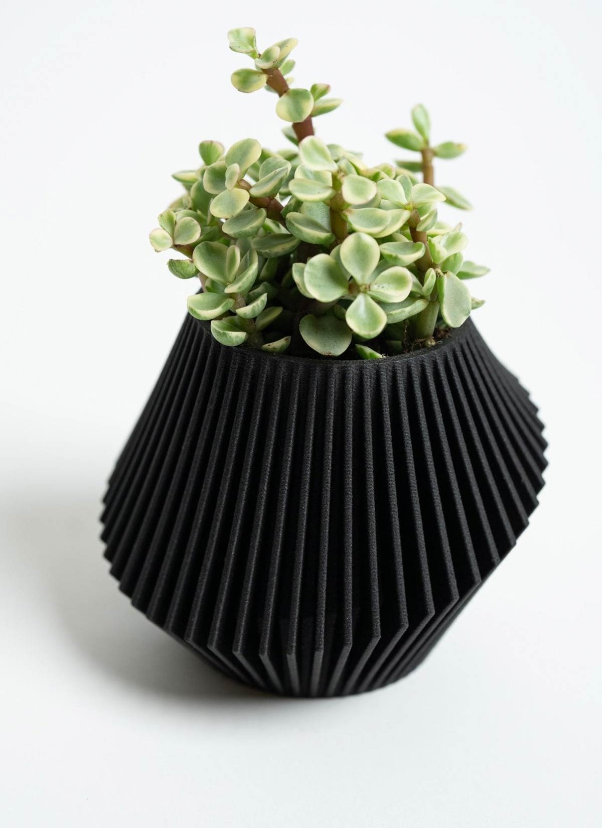 Disc Indoor Modern Style Planter - Various Sizes And Colors