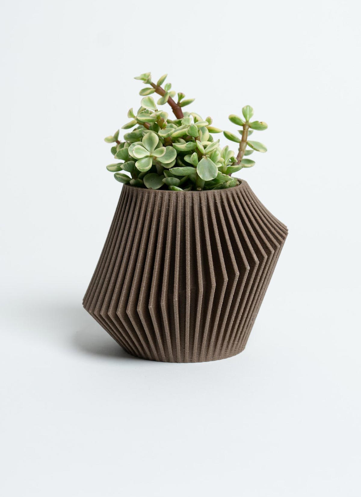 Disc Indoor Modern Style Planter - Various Sizes And Colors