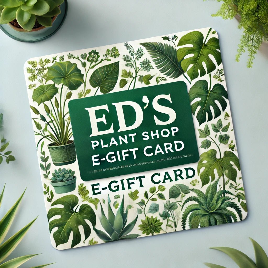 Ed's Plant Shop E - Gift Card - Ed's Plant Shop