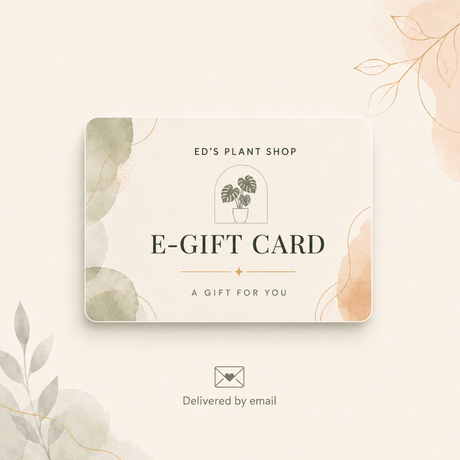 A decorative e-gift card from Ed's Plant Shop with a minimalist design, featuring watercolor botanical accents in soft green and peach on a cream card, shown on a matching light beige background with a small email delivery icon below.