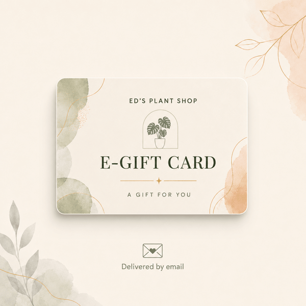 A decorative e-gift card from Ed's Plant Shop with a minimalist design, featuring watercolor botanical accents in soft green and peach on a cream card, shown on a matching light beige background with a small email delivery icon below.