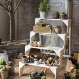 Eggshell - Shaped Planters in Egg Crate - Ed's Plant Shop