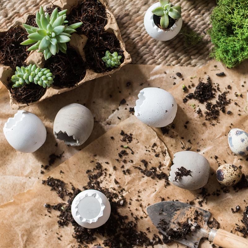 Eggshell - Shaped Planters in Egg Crate - Ed's Plant Shop