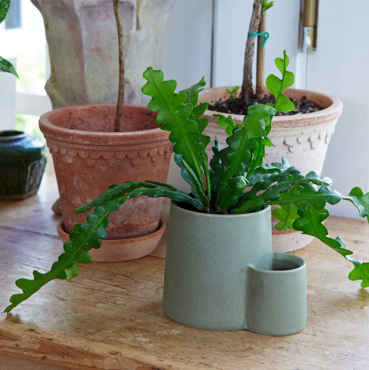 Ember Earth Candle + Planter by Modern Sprout - Ed's Plant Shop