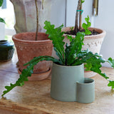 Ember Earth Candle + Planter by Modern Sprout - Ed's Plant Shop