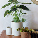 Ember Earth Candle + Planter by Modern Sprout - Ed's Plant Shop