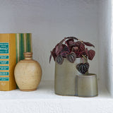 Ember Earth Candle + Planter by Modern Sprout - Ed's Plant Shop