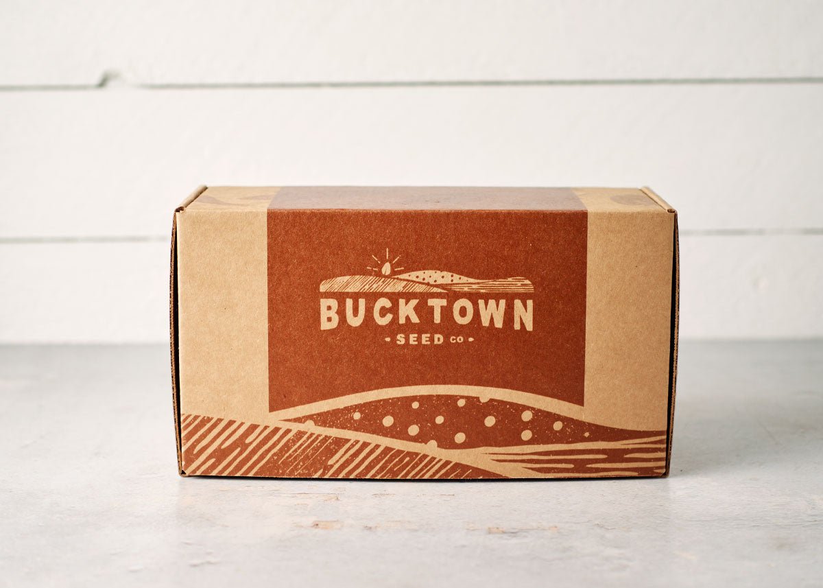 Emergency Seed Bank - Small - Organic Heirloom - Ed's Plant Shop