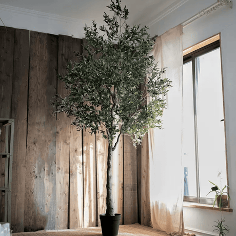 Extra‑Large 118″ Tall Realistic Artificial Olive Tree in tapered black pot, full view