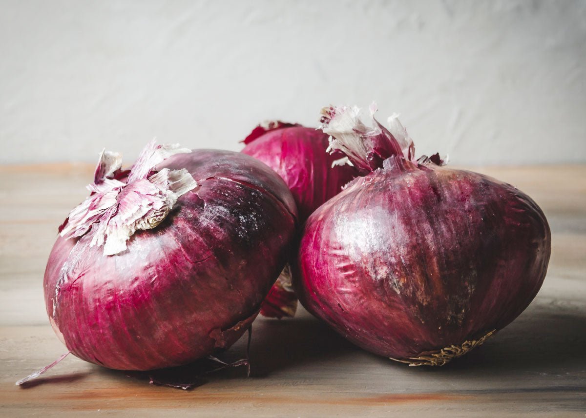 Family Pizza Night - Seed Collection - Ed's Plant Shop