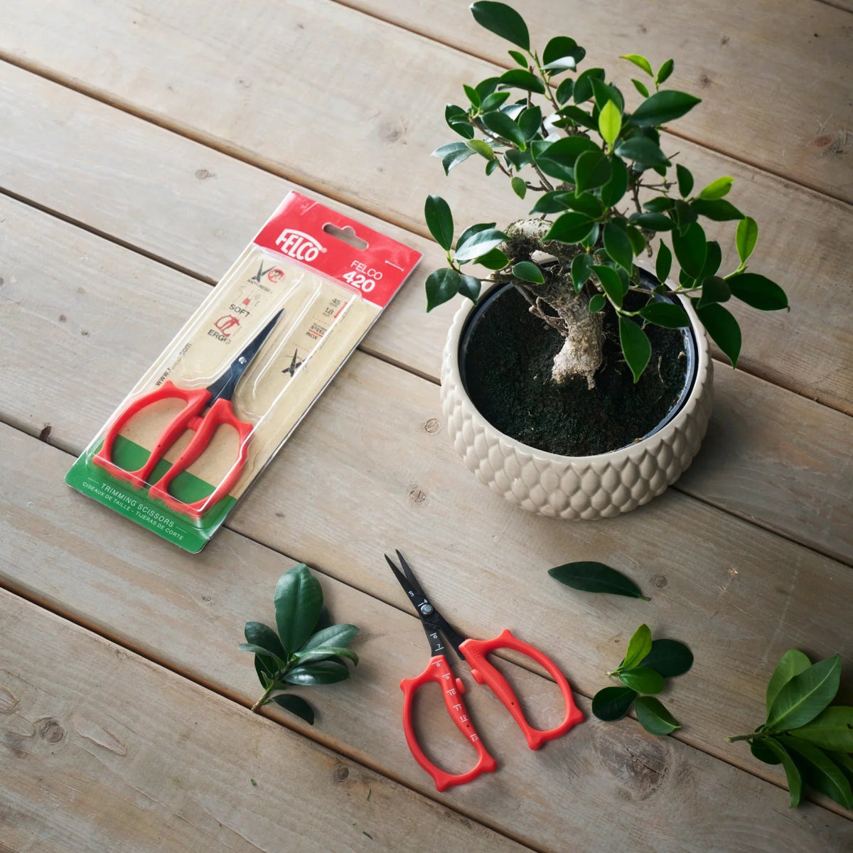 Felco 420 Precision Trimming Scissors – Non - Stick Ergonomic Garden Shears - Ed's Plant Shop
