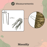 Mossify hair pins with measurements and close-up on a pink background